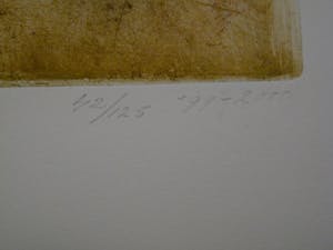 Sam Parabirsingh - POSE DU SOLEIL MET EUROSIENTJE/ POSE DU SOLEIL MET ZWAARDVIS kopen? Bied vanaf 75!