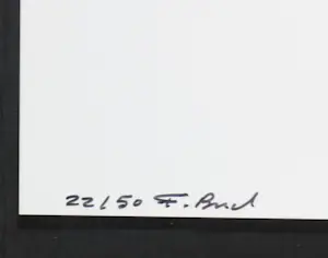 Frederik Busch - 4 Lambda-prints, Bad Woman kopen? Bied vanaf 100!