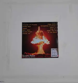 Raymond Pettibon - Black Helicopter - Don't fuck with... - Zeefdruk op lp hoes - Signed kopen? Bied vanaf 50!