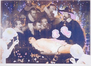 Rob Birza - Zeefdruk, De Anatomische Les kopen? Bied vanaf 20!