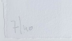 Jon Marten - Litho - Ingelijst kopen? Bied vanaf 65!