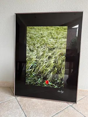 Paul Huf - Poppy (1988, gesigneerd) kaufen? Bieten Sie von 85!