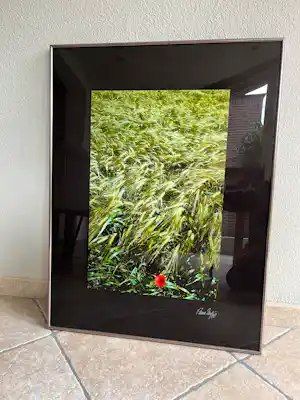 Buy Paul Huf - Poppy (1988, gesigneerd)? Bid from 85!