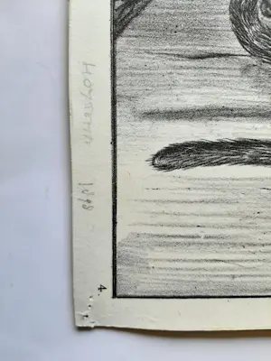 Theo van Hoytema - Litho, 'Apen' kopen? Bied vanaf 35!