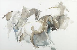 Niet of onleesbaar gesigneerd - Aquarel, Paarden en ruiter - Ingelijst kopen? Bied vanaf 1!