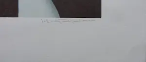 Jef van Tuerenhout - HALFNAAKTE VROUW / KLEURZEEFDRUK / 80x60cm / SIG kopen? Bied vanaf 90!