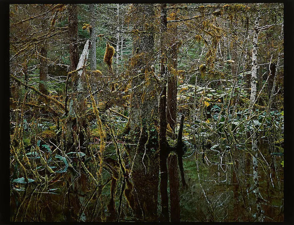 Robert Glenn Ketchum (1947)