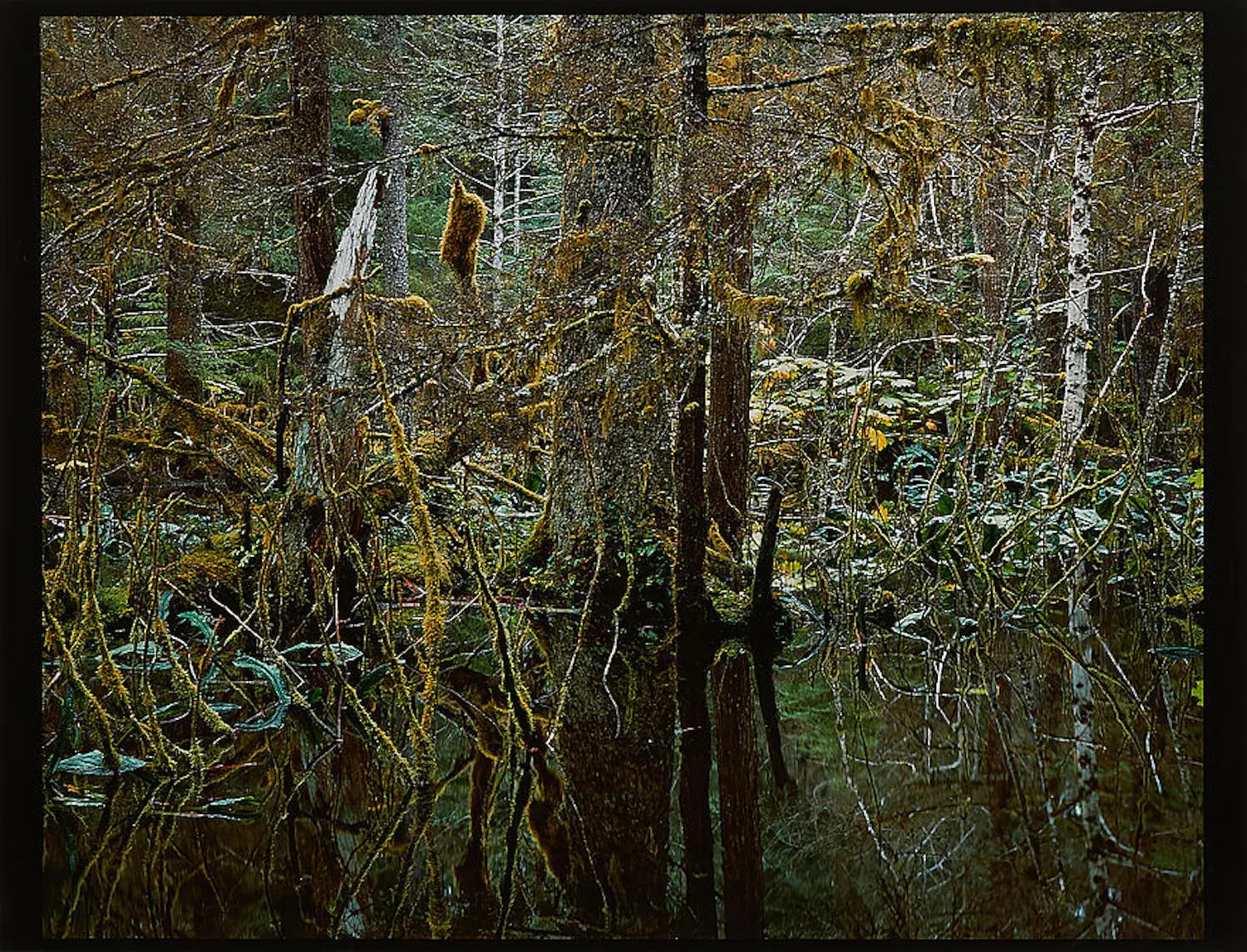 Robert Glenn Ketchum (1947)