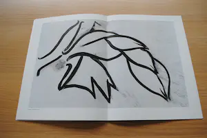 Lei Molin - Bijzondere uitgave met litho kopen? Bied vanaf 35!