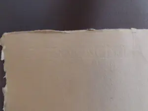 Anton Heyboer - (1924-2005) Kip kopen? Bied vanaf 275!