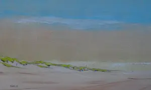 Franklin Meijer - Texel - Strand kopen? Bied vanaf 85!