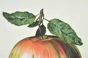 Rene Magritte - (naar) Ceci n'est pas une pomme (1964 ) - Lithografie - 60x45 cm kopen? Bied vanaf 440!