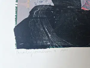 Peer Wolfram - Grote kleuren lithografie "Paralyromenon 3" - beperkte oplage (8/100) kopen? Bied vanaf 36!