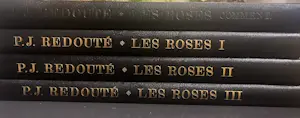 Pierre-Joseph Redoute - Les roses kopen? Bied vanaf 1200!