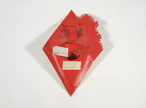 Henk van Dalen - Wandobject van papier, De ogen kopen? Bied vanaf 1!