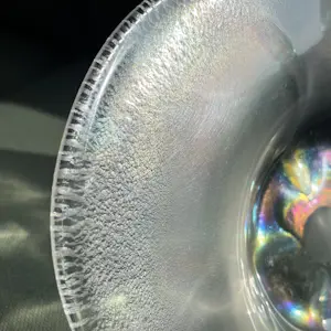 Willem Rozendaal - Iriserende Coquille schaal met tincraquelé kopen? Bied vanaf 45!