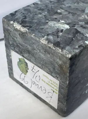 AcheterJos van Riemsdijk - Bevnel 99? Enchérissez de 95!