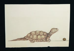 Niet of onleesbaar gesigneerd - Lot van twee diervoorstellingen kopen? Bied vanaf 1!