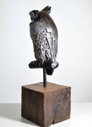 Tosca van Oorschot - Maleise Oehoe kopen? Bied vanaf 150!