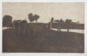 Wim van der Veer - Ets, eigen druk kopen? Bied vanaf 40!