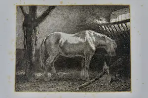 Jan Vrolijk - Etend paard met kippen in de stal - 19e eeuwse ets kopen? Bied vanaf 25!