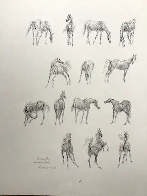 Piet Klaasse - Paarden, proefdrukken offsetlitho, 2-zijdig bedrukt, gesigneerd in druk kopen? Bied vanaf 25!