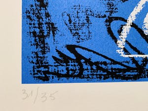 Dees De Bruyne - Femme Bleu avec collier rouge kopen? Bied vanaf 50!