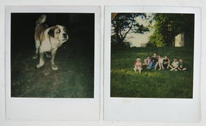 Andy Warhol - Lot van twee polaroid foto's kopen? Bied vanaf 150!