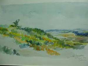 Jelle Hoogstra - Aquarel op papier, Titel: Veluwe 11 juni 1962 kopen? Bied vanaf 30!