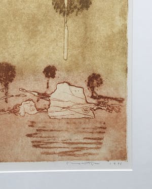 Jan Montyn - kleurenets II - 1996 - oplage 25 - ingelijst kopen? Bied vanaf 135!