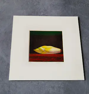 Joop Vegter - Fraaie kleine mezzotint "witlof" - bep. oplage (7/125) - potloodgesigneerd kopen? Bied vanaf 45!