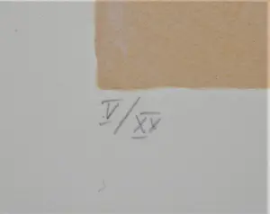 Eugène Brands - Zeefdruk - oplage V/XX - ingelijst kopen? Bied vanaf 450!