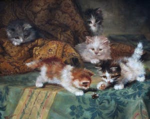 Johannes Wouterus van Trirum - Olieverf op paneel: spelende kittens - 1924 kopen? Bied vanaf 450!