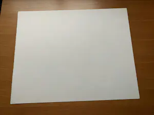 Willem den Ouden - litho De Waal 1991 nummer V/X kopen? Bied vanaf 79!