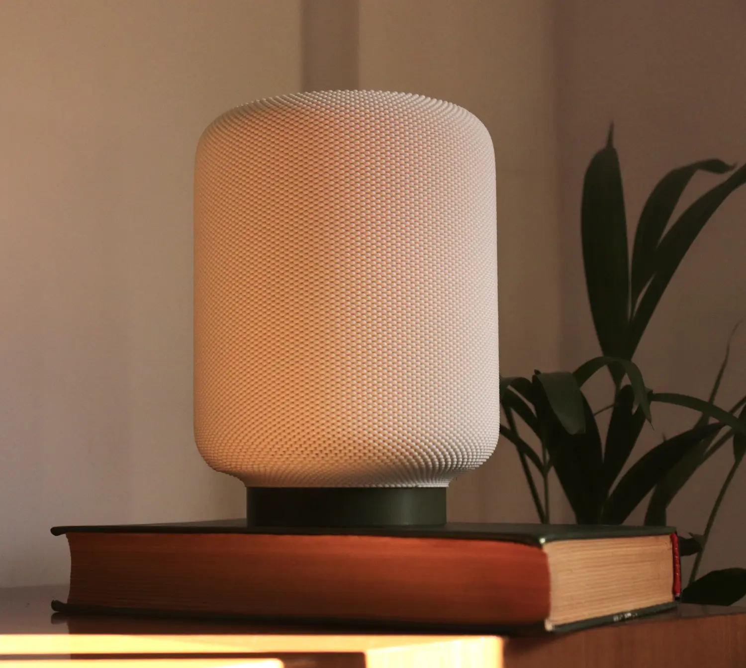 Opsis Lighting (2020)