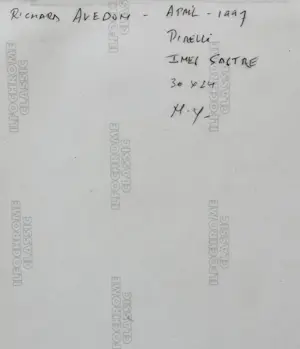 Richard Avedon - Inès Sastre – Pirelli-Kalender 1997 – New York – gerahmt kopen? Bied vanaf 190!