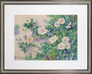 Ad Blok van der Velden - Aquarel, Duinroosjes - Ingelijst kopen? Bied vanaf 300!