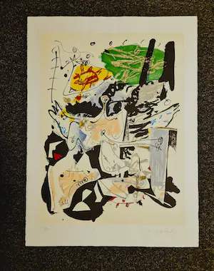 Kees Salentijn - Grote expressionist. bep. oplage Litho - vrouwelijk naakt - potlood gesigneerd kopen? Bied vanaf 70!