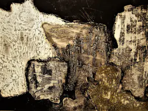 Ru van Rossem - Magnifieke 1962 handgekleurde Ets "Oerlandschap" kleine oplage (28/40) potloodg kopen? Bied vanaf 38!