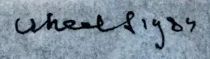 Buy Dirkje Kuik - Pentekening met waterverf: Roofspin - 1984? Bid from 149!