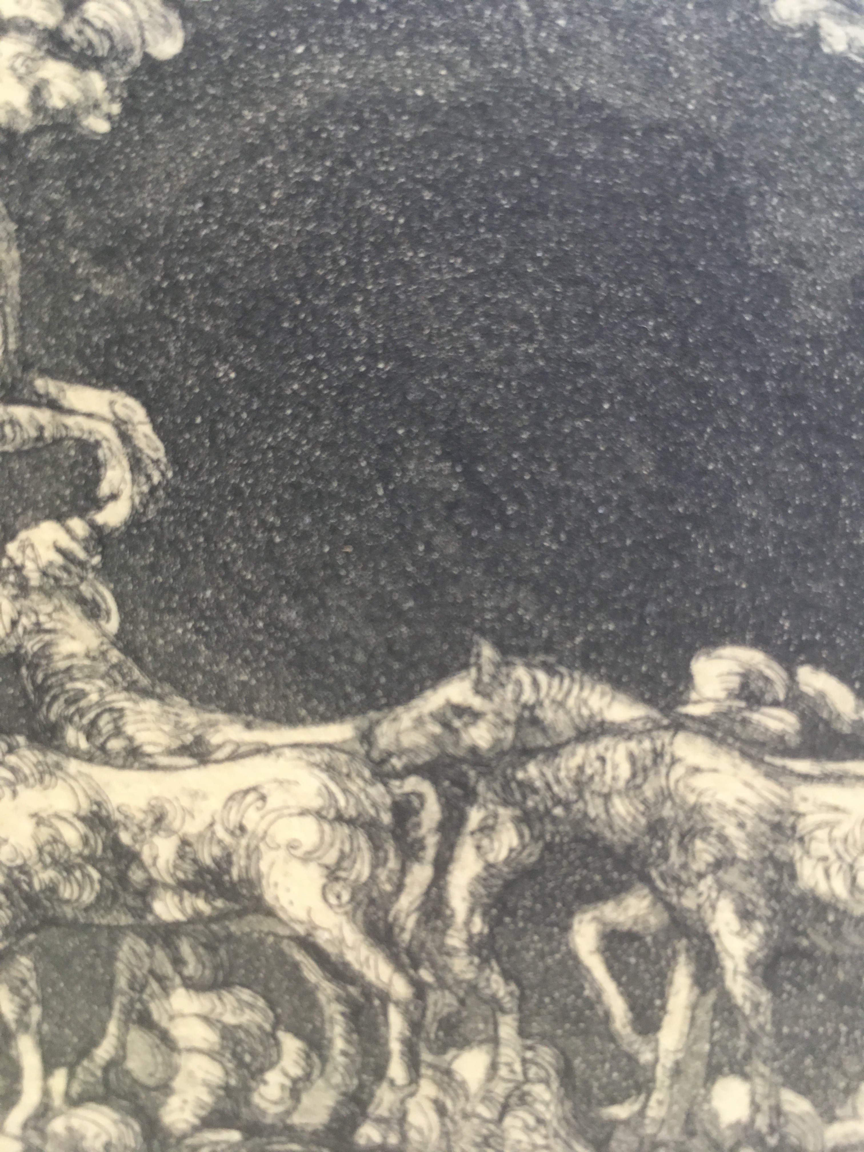 Niet of onleesbaar gesigneerd - Ets met paarden hemelvaart kopen? Bied vanaf 1!