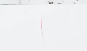 Madeleine Leddy - Ets, Z.T. kopen? Bied vanaf 1!