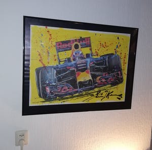 Eric-Jan Kremer - Max Verstappen Red Bull kopen? Bied vanaf 349!
