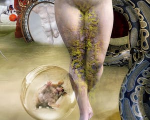 Lionel Morateur - Adam et Ève, La tentation kopen? Bied vanaf 50!