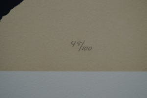 Jan Roede - gesigneerde zeefdruk kopen? Bied vanaf 50!