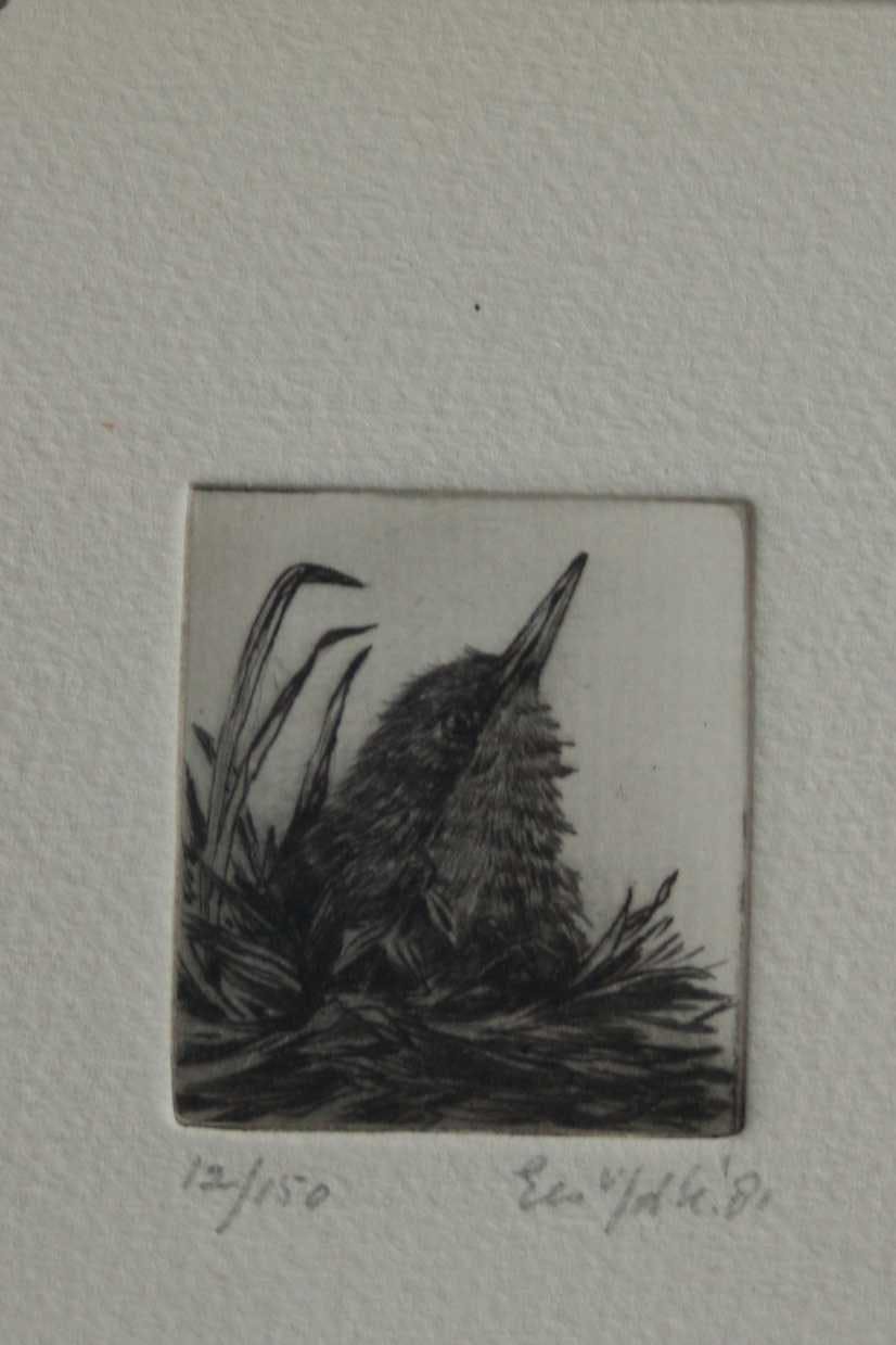 Niet of onleesbaar gesigneerd - vogeltje - 1981 - gesigneerd - 2 stuks kopen? Bied vanaf 1!