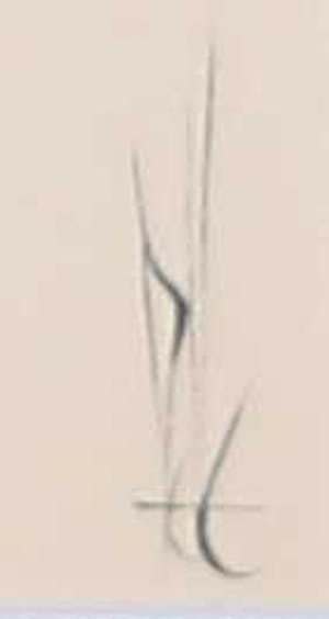 Melle Oldeboerrigter - Inkttekening op papier, Zonder titel kopen? Bied vanaf 80!