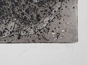 Jan Prins - Prachtige Ets - Gesigneerd in potlood kopen? Bied vanaf 1!