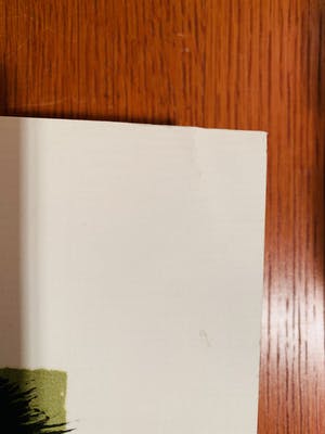 Alain Bonnefoit - Nu à la Chaise Rouge kopen? Bied vanaf 50!