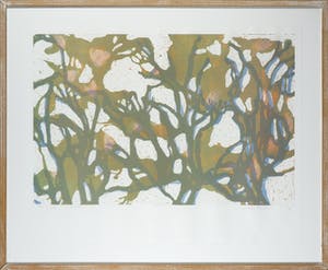 Judith ten Bosch - 163 losse litho's + 1 ingelijst exemplaar, Groei kopen? Bied vanaf 1!